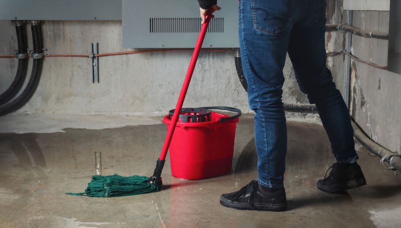 Basement Restoration Service in Phoenix, AZ