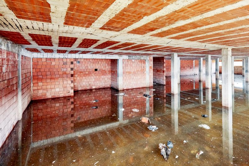 Flood Damage Cleanup in Phoenix, AZ