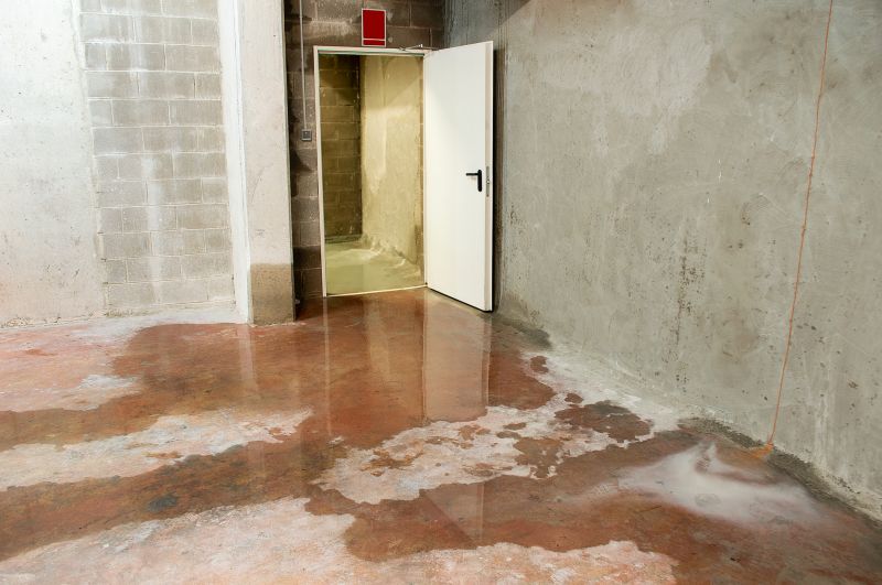 Flooded Basement Cleanup in Mesa, AZ