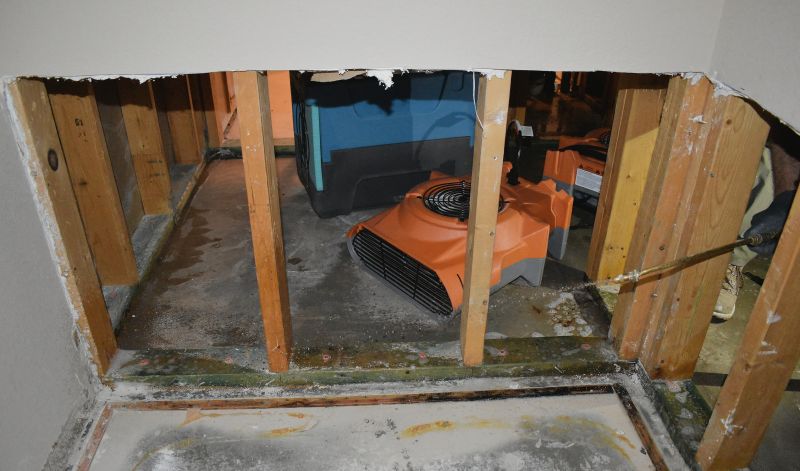 Water Remediation in Chandler, AZ